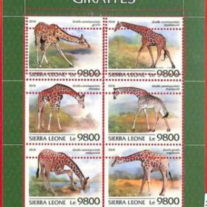 A4696 - SIERRA LEONE - ERROR MIPERF, Kleinbogen: 2018, Giraffen