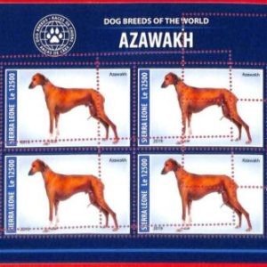A4705 - SIERRA LEONE - ERROR MIPERF, Kleinbogen: 2019, Azawakh Dogs
