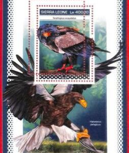 A4572 - SIERRA LEONE - ERROR MIPERF, Sonderblock: 2018, Adler, Vögel