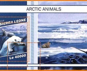A6794 - SIERRA LEONE, Error, 2018, MISSPERF SOUVENIRBLATT: Eisbären