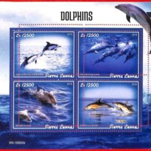 A4586 - SIERRA LEONE - ERROR MISPERF Miniatura hoja: 2019 Delfines, Vida Marina