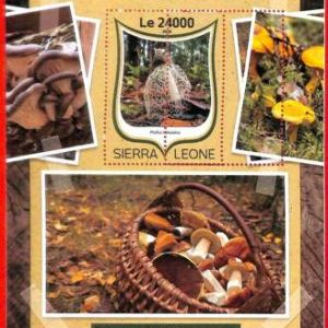 A4635 - SIERRA LEONE - ERRORE MISPERF, Foglio ricordo: 2016, Funghi