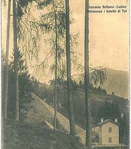 34527  CARTOLINA d'Epoca BELLUNO provincia - TAI di Cadore