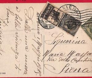 P0421 - ITALY - Postal History - Advertising Stamp PUBBLICITARIO on card DOGS