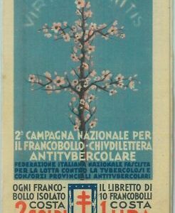 87054 - VINTAGE VINEYARDS - ANTI TUBERCULOSIS PNF 1930'S stamp booklet