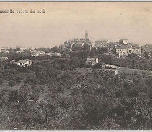44482  CARTOLINA d'Epoca - CHIETI provincia -  Francavilla al Mare