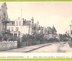 aa9576 - Deutschland GERMANY - Ansichtskarten VINTAGE POSTCARD - BRUNSHAUPTEN