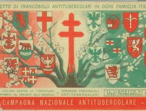 87059 - VINTAGE VINEYARDS - ANTI TUBERCULOSIS 1961 stamp booklet - Complete