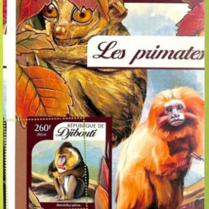 A0480 - DJIBOUTI - ERROR MISSPERF  Stamp SHEET  2016 primate   Fauna приматы