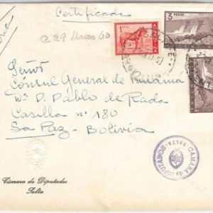 43358  ARGENTINA - POSTAL HISTORY  -  AIRMAIL COVER to BOLIVIA - 1960