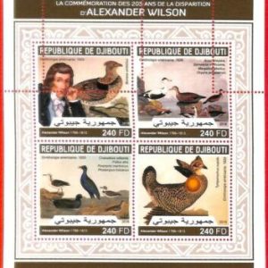 A1736 -DJIBOUTI, ERROR: MISSPERF, MINIATURE SHEET -2018, Birds, A. Wilson, Ducks