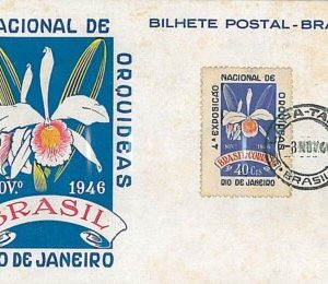 14106 - BRAZIL - Postal History - MAXIMUM CARD - FLOWERS: ORCHIDS  1946