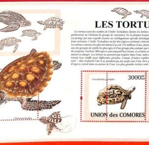 A3174 - COMOROS, ERROR MISSPERF, Souvenir sheet: 2009, Turtles, Leopard Tortoise