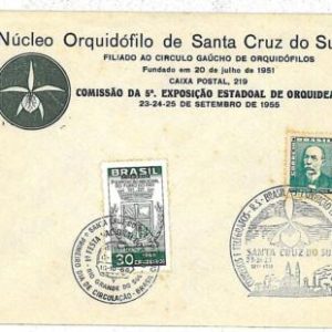 21529 - BRAZIL  - POSTAL HISTORY  -   COVER - 1966   ORCHIDS FLOWERS
