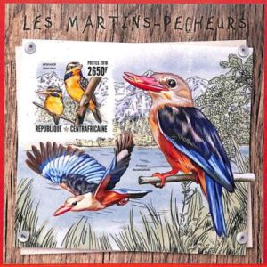 A3908 - Central African Rep - ERROR IMPERF, Souvenir sheet: 2016, Birds