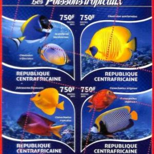 A3899 - Central African Rep - ERROR MISPERF, Miniature sheet: 2015 Tropical Fish