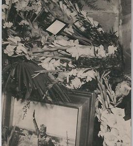 50435   CARTOLINA d'Epoca - FORLI provincia :  Predappio 1957 - MUSSOLINI