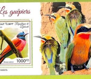 A3547-DJIBOUTI ERROR MISSPERF 2019  BIRDS MEROPS NUBICUS ПТИЦЫ
