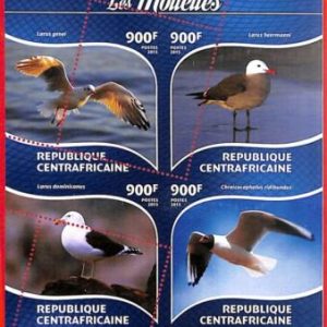 A3896 - Central African Rep - ERROR MISPERF, Miniature sheet: 2015 Seagull Birds