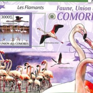 A0416  - COMORES Comoros -  MISPERF 2009  stamp SHEET:  fauna BIRDS