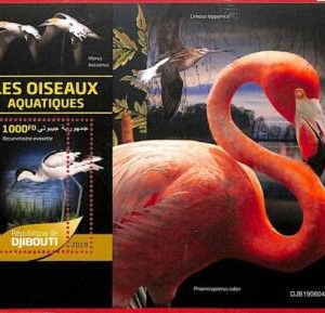 A1780 -DJIBOUTI, ERROR: MISSPERF, SOUVENIR SHEET -2019 Maritime Birds, Flamingos