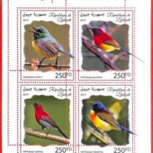 A3884 - DJIBOUTI - ERROR MISPERF, Miniature sheet: 2019, Birds