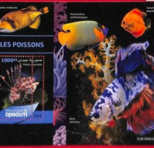 A1779 - DJIBOUTI, ERROR: MISSPERF, SOUVENIR SHEET - 2019, Fish, Corals, Marina