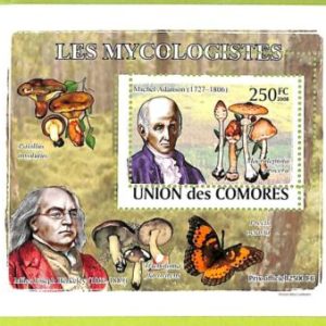 A0305 - COMORES Comoros -  MISPERF 2008  stamp SHEET:  Nature MUSHROOMS