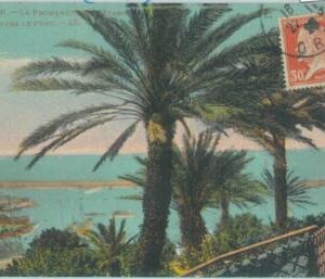 86707 - FRANCE - Postal History - PASTEUR  stamp sent from ALGERIA 1920 Medicine