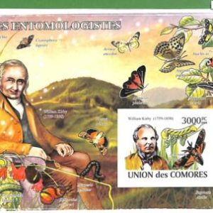 A0367-COMOROS - ERROR IMPERF 2008 BUTTERFLIES INSECTS Бабочки насекомые  W.Kirby