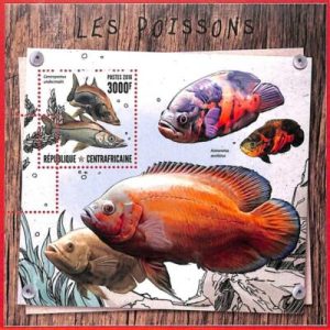 A3906 - Central African Rep - ERROR MISPERF, Souvenir sheet: 2016 Fish