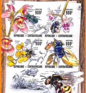 A5678 - CENTRAL AFRICAN REP - ERROR, 2016, IMPERF MINIATURE SHEET: Bees, Orchids
