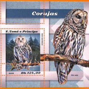 A6594 - SAO TOME & PRINCIPE, Error, 2018, MISSPERF SOUVENIR SHEET: Owls