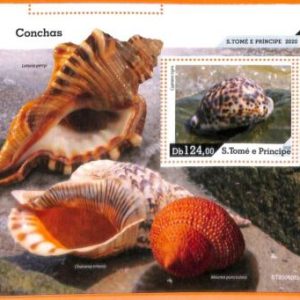 A6758 - SAO TOME & PRINCIPE, Error, 2020, MISSPERF SOUVENIR SHEET: Sea shells