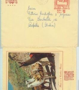 81693 - PERU - POSTAL HISTORY -  Red Mechanical postmark on PICTURE COVER   1956