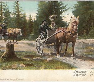 53116 -  VINTAGE POSTCARD - Suomi FINLAND - ETHNIC!