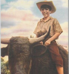 78859 - VINTAGE POSTCARD - CINEMA: Michael Ray