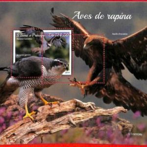 A3206 - SAO TOME & PRINCIPE, ERROR MISPERF, Souvenir sheet: 2019, Birds of prey