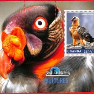 A3169- UGANDA ERROR MISSPERF Souvenir s: 2014 Birds, Vultures Gypaetus barbatusu
