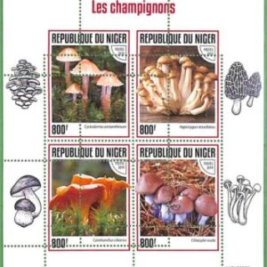 A2455 - NIGER - ERROR: MISPERF, Miniature sheet - 2019, Mushrooms