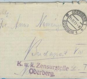75070 - CROATIA - POSTAL HISTORY - COVER: BOGUMIN to HUNGARY - CENSOR 1917