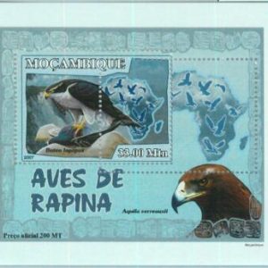 A1147 MOZAMBIQUE ERROR MISPERF Souvenir s: 2007 Birds of Prey, Rough-legged hawk