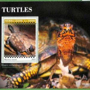 A2593 - SIERRA LEONE - ERROR: MISPERF Souvenir sheet - 2019 Turtles, Marine life
