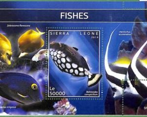 A2568 - SIERRA LEONE - ERROR: MISPERF, Souvenir sheet - 2019, Fish, Marine Life