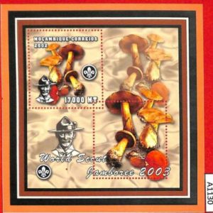 A1130 Mozambique - ERROR MISSPERF  2002 MUSHROOMS boy scouts Грибы Бойскауты