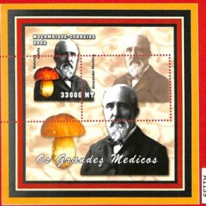 A1139 Mozambique - ERROR MISSPERF  2002 MUSHROOMS  Грибы
