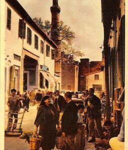 ac9525 - CYPRUS -  VINTAGE POSTCARD