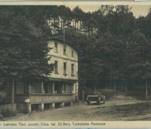 83958  - POLAND  - VINTAGE collectable POSTCARD - Lotnisko 1937