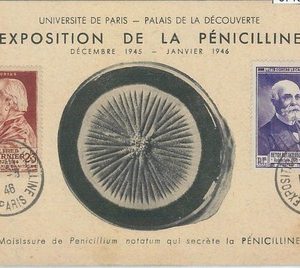 67185 - FRANCE - Postal History -  SPECIAL POSTCARD 1946 - MEDICINE Penicilline