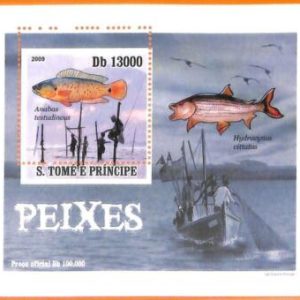 A6625 - SAO TOME & PRINCIPE, Error, 2009, MISSPERF SOUVENIR SHEET: Fish, Fishing